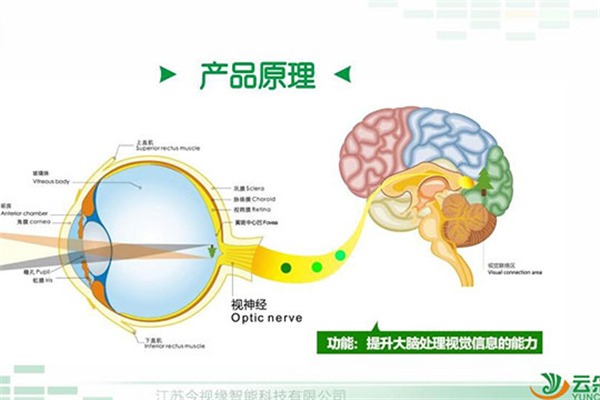 云采智能眼鏡加盟