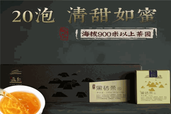 黑品茶業(yè)加盟