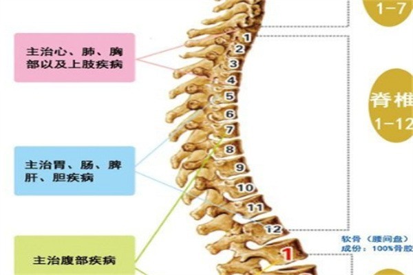 脊動力健康管理中心加盟