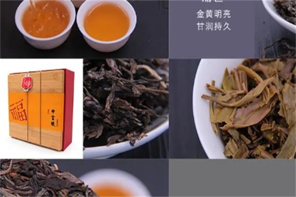 中吉號(hào)茶葉加盟