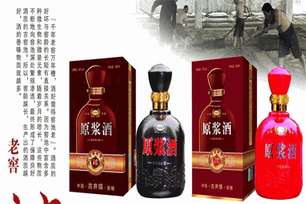 金滿樓酒加盟