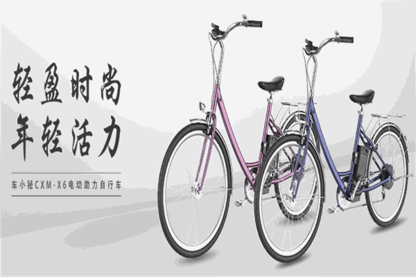 車(chē)小秘加盟