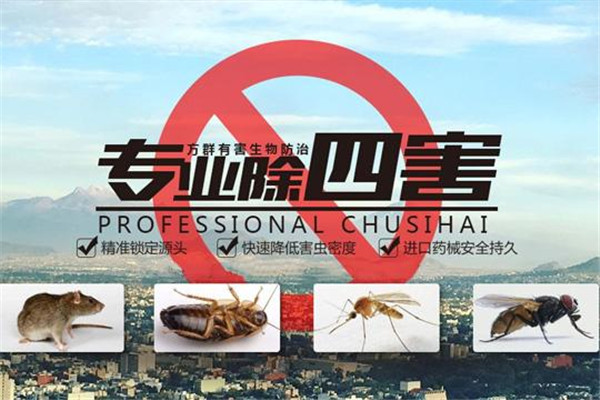 邦邦有害生物防治加盟