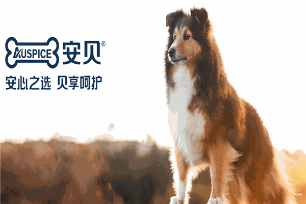 安貝犬糧加盟