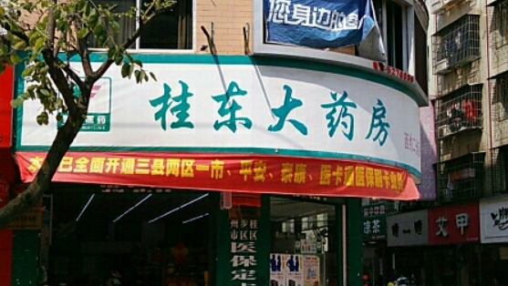 桂東大藥房加盟