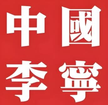 中國(guó)李寧加盟