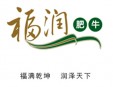 福潤肥?；疱伡用?/></a>
                    </div>
                    <div   id=