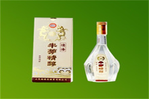 海曙牛蒡酒業(yè)加盟