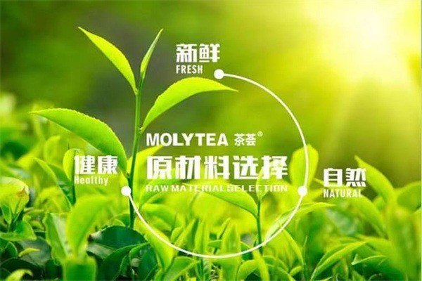 茶薈molytea加盟