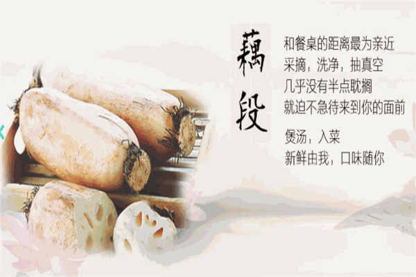 嘉珍生態(tài)農(nóng)業(yè)加盟