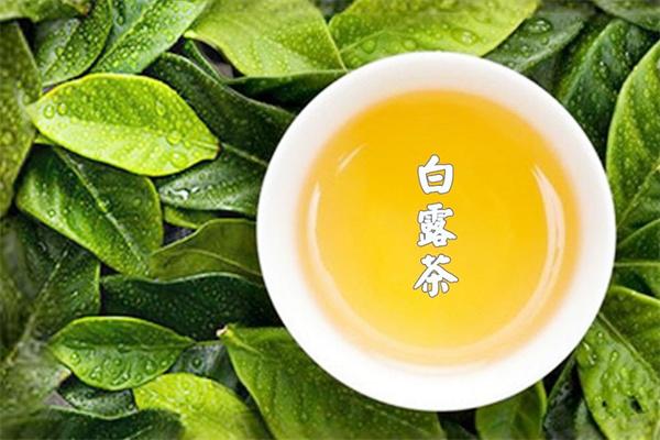 秋白露茶飲