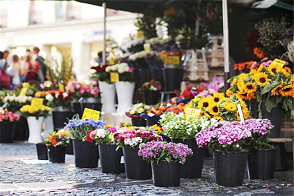 Flowerplus花加花店