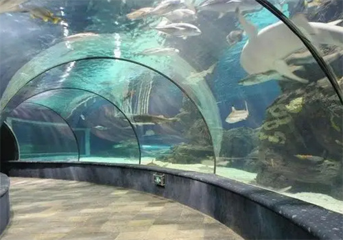 揚子水族館加盟