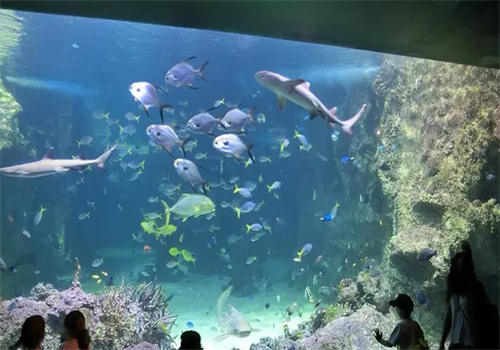 揚子水族館加盟